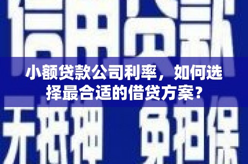 黄埔小额贷款公司利率，如何选择最合适的借贷方案？