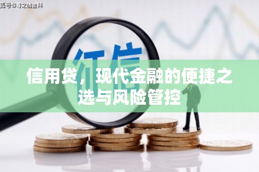 宣威信用贷，现代金融的便捷之选与风险管控