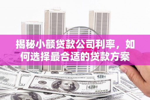 荔湾揭秘小额贷款公司利率，如何选择最合适的贷款方案