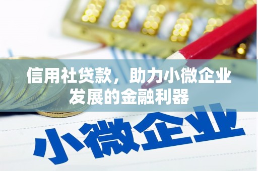 桐城信用社贷款，助力小微企业发展的金融利器