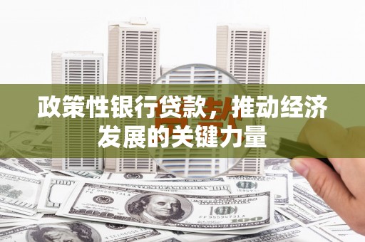 莿桐政策性银行贷款，推动经济发展的关键力量
