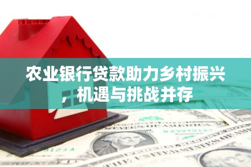 慈溪农业银行贷款助力乡村振兴，机遇与挑战并存