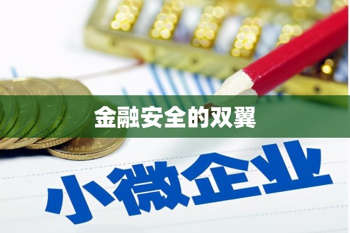 久治金融安全的双翼