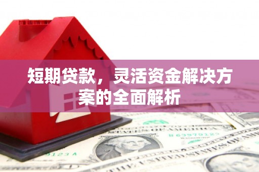 蒲城短期贷款，灵活资金解决方案的全面解析