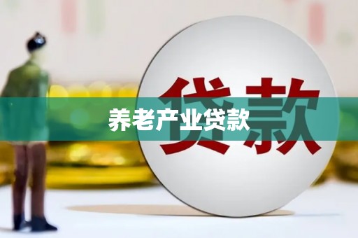 界首养老产业贷款