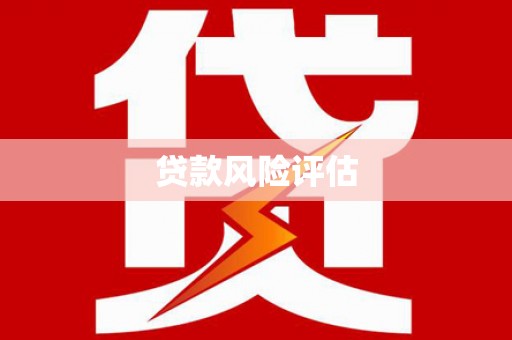 崇阳贷款风险评估