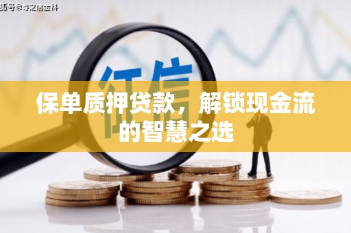 射阳保单质押贷款，解锁现金流的智慧之选