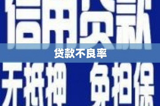 梧栖贷款不良率