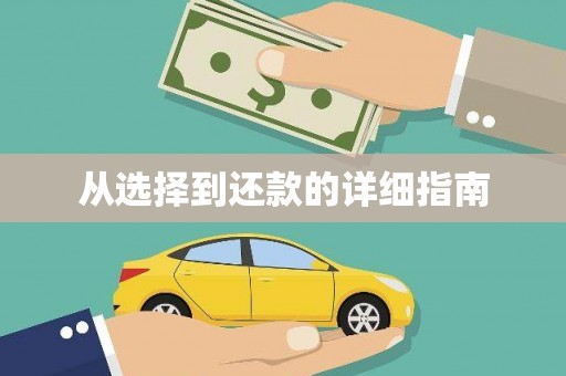 保亭从选择到还款的详细指南