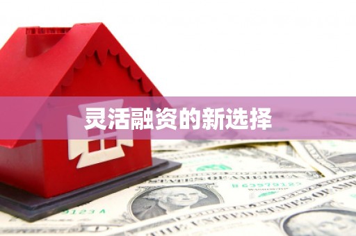 邵阳县灵活融资的新选择