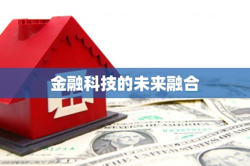 海丰金融科技的未来融合