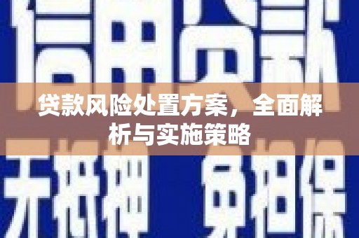 长白贷款风险处置方案，全面解析与实施策略