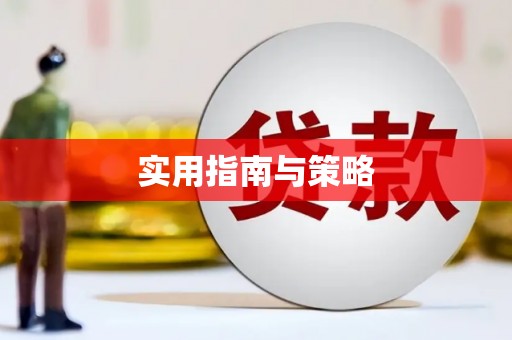梁平实用指南与策略